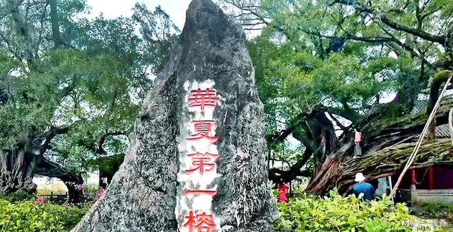 Kaiyun体育网站：我去了桂林平乐县榕津古镇发现这里有一个神奇的景观无处可比(图5)