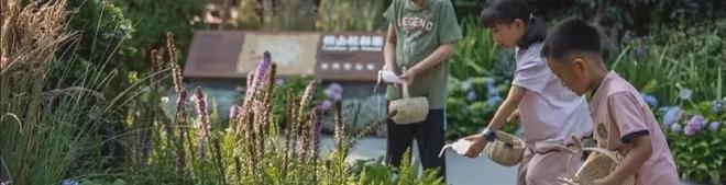 Kaiyun（中国体育）：◈华发观澜半岛华发观澜半岛售楼处发布：购房者必看!(图9)