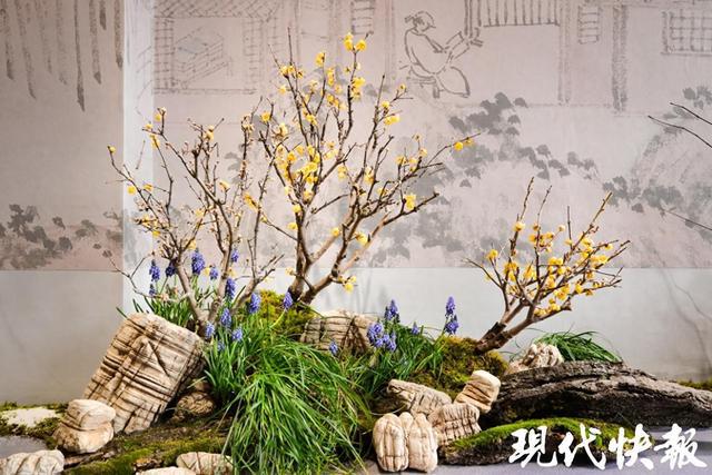 13处赏梅佳地等你来苏州园林景区迎春梅花联展开启(图1)