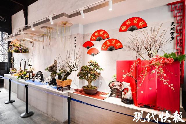 13处赏梅佳地等你来苏州园林景区迎春梅花联展开启(图5)