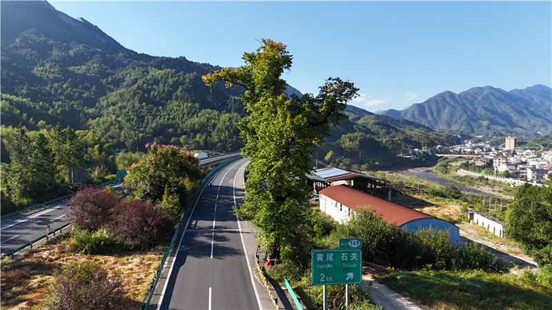 Kaiyun体育网站：大别山生态景观高速公路：一条串起生态、红色记忆与振兴的“美丽廊道”(图1)