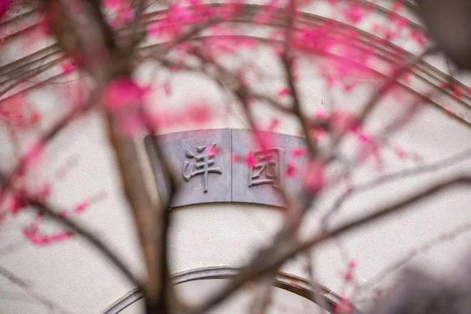 这座江南古典园林深藏在居民区里小巧玲珑却是临平十景之一(图1)