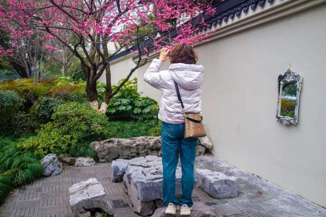 这座江南古典园林深藏在居民区里小巧玲珑却是临平十景之一(图4)