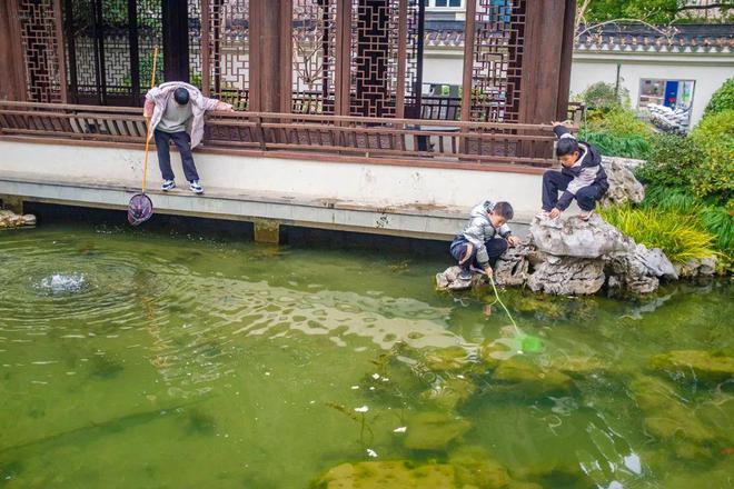 这座江南古典园林深藏在居民区里小巧玲珑却是临平十景之一(图13)