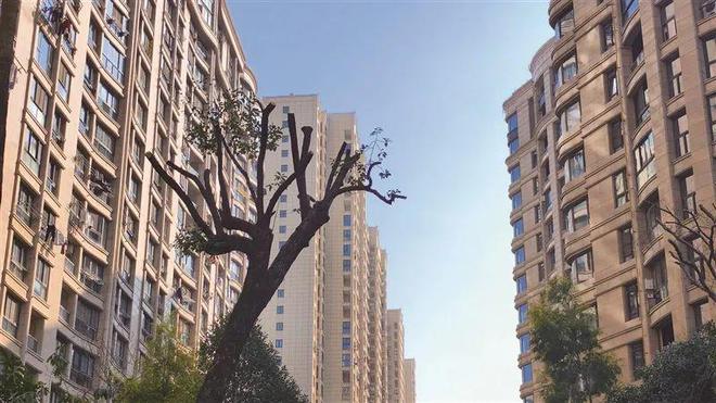 Kaiyun体育网站：温州一小区业主吐槽小区树木被剃“秃”！施工方回应：严格按标准操作(图1)