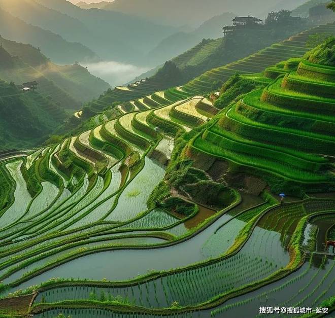Kaiyun（中国体育）：江西家庭游花费明细大全最新江西6日游具体团费(图2)