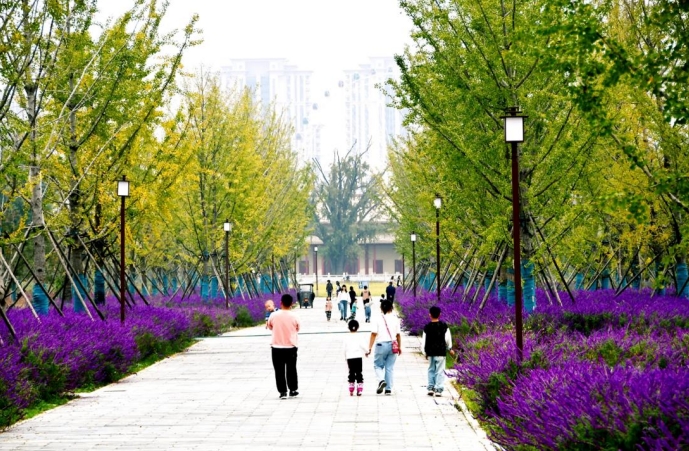 安徽临泉：城市建设结硕果满城秀色入画来(图2)