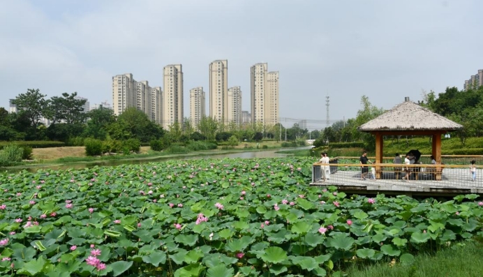 安徽临泉：城市建设结硕果满城秀色入画来(图3)