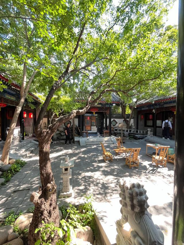 院子要有人气才叫院子。(图3)