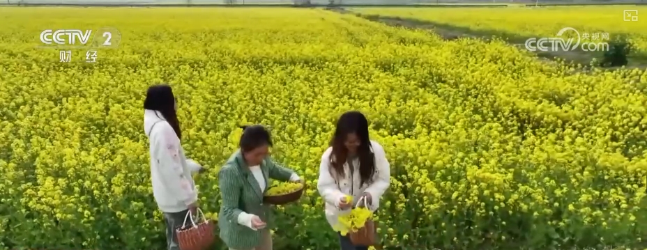 春日经济好“食”机舌尖上的美味助力消费升温(图2)