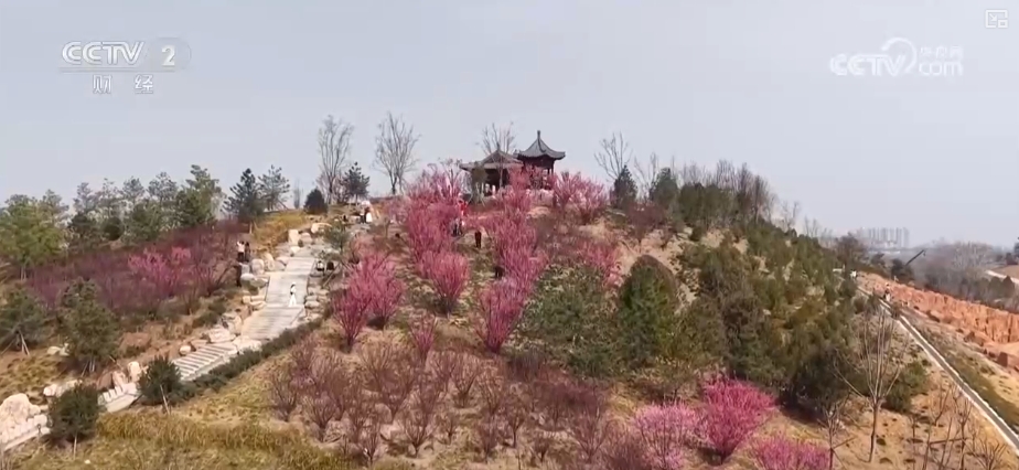 春日经济好“食”机舌尖上的美味助力消费升温(图7)