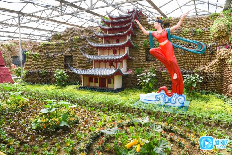 潍坊寿光：绘就绿色盛景谱写三农华章(图5)