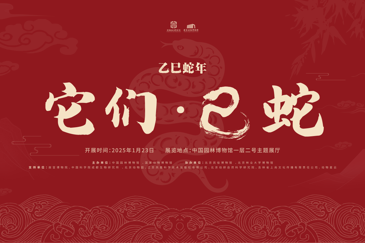 “它们·巳蛇”展览在中国园林博物馆开幕(图2)