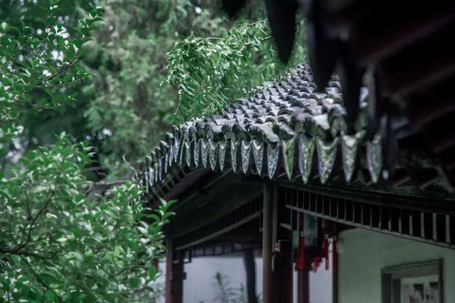 Kaiyun体育网站：天青色等烟雨我在雨季的南京园林等你。(图2)