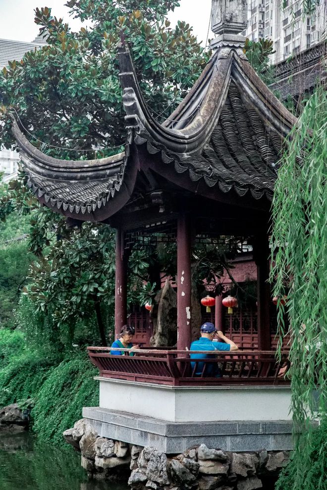 Kaiyun体育网站：天青色等烟雨我在雨季的南京园林等你。(图3)