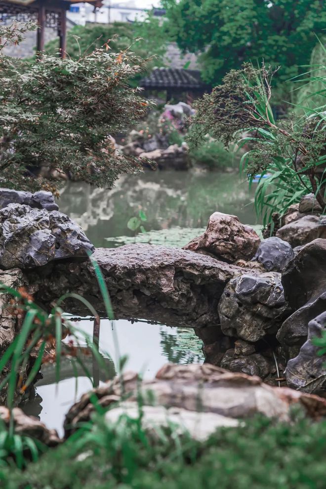 Kaiyun体育网站：天青色等烟雨我在雨季的南京园林等你。(图9)