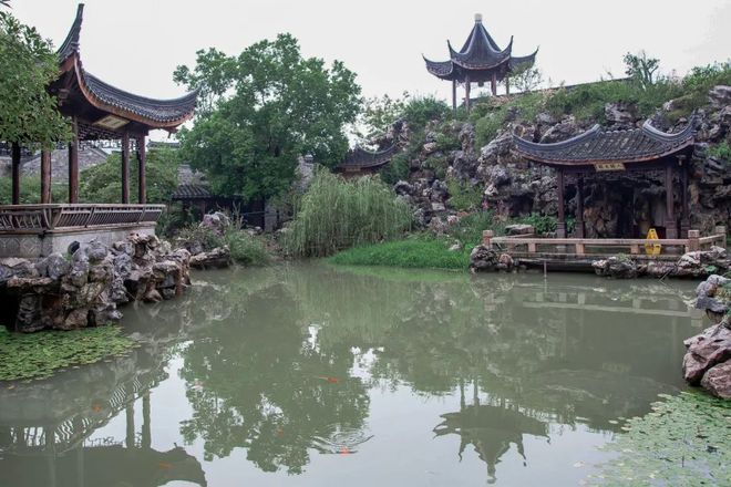 Kaiyun体育网站：天青色等烟雨我在雨季的南京园林等你。(图12)