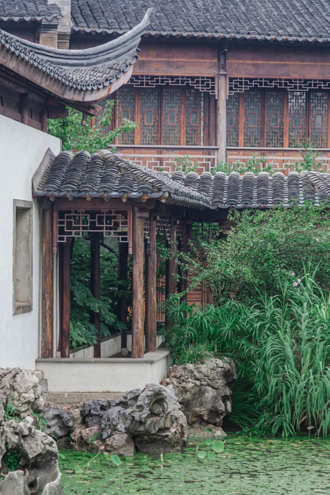 Kaiyun体育网站：天青色等烟雨我在雨季的南京园林等你。(图14)