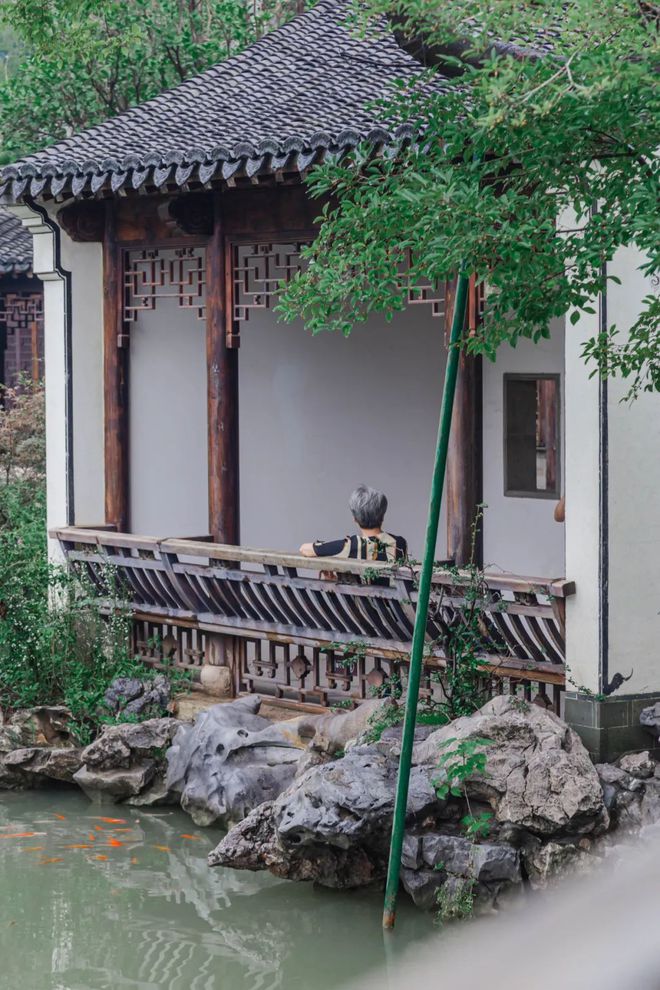 Kaiyun体育网站：天青色等烟雨我在雨季的南京园林等你。(图13)