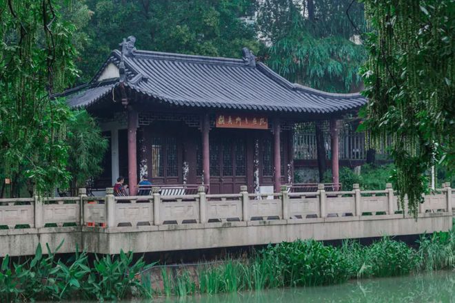 Kaiyun体育网站：天青色等烟雨我在雨季的南京园林等你。(图19)