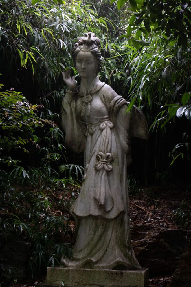 Kaiyun体育网站：天青色等烟雨我在雨季的南京园林等你。(图23)