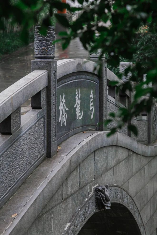 Kaiyun体育网站：天青色等烟雨我在雨季的南京园林等你。(图27)