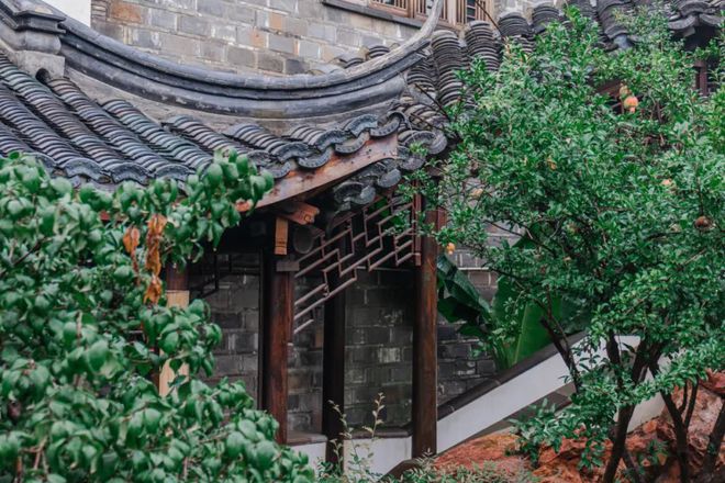 Kaiyun体育网站：天青色等烟雨我在雨季的南京园林等你。(图28)