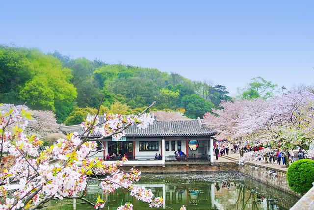 江苏旅游景点大全景点(图7)