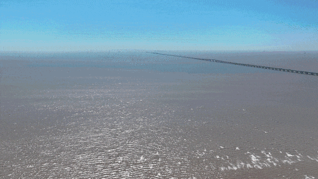 上实听海(售楼处)底价曝光-2025上实听海营销中心(售楼处中心)小区欢迎您-周边环境-户型-价格-地址-楼盘详情-户型配套-电话-交房时间(图4)