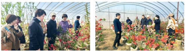石家庄市风景园林学会开展乡土植物与海棠新品种专项考察(图3)