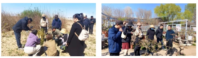石家庄市风景园林学会开展乡土植物与海棠新品种专项考察(图4)