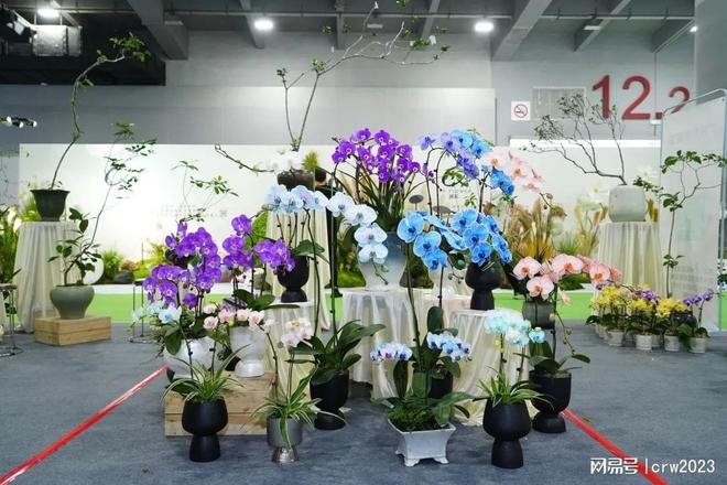 Kaiyun体育网站：2025中国广州园林景观展园林用品展广州机械展(图3)