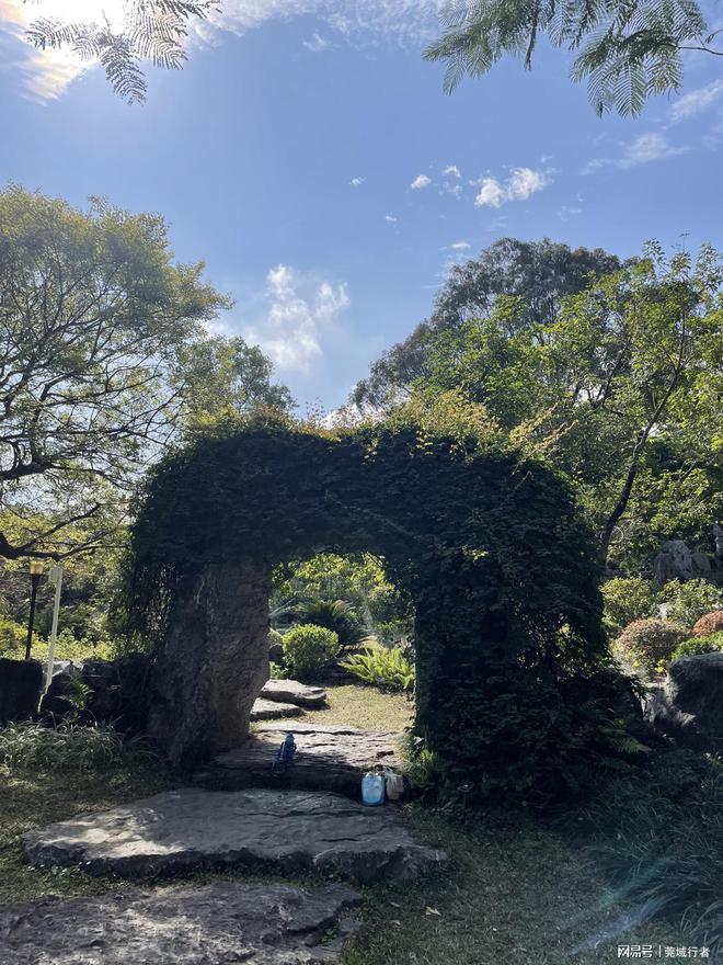 Kaiyun体育网站：东莞植物园春游(图1)