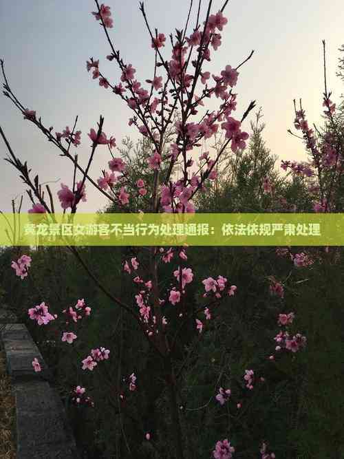 黄龙景区女游客不当行为处理通报：依法依规严肃处理(图4)
