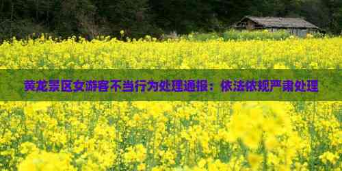 黄龙景区女游客不当行为处理通报：依法依规严肃处理(图6)