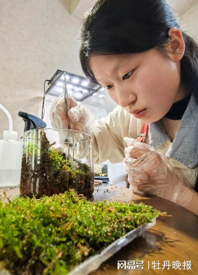 巧筑方寸景妙绘自然情(图5)