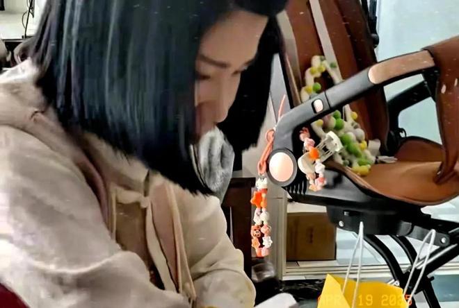 大衣哥和孙子菜园嬉戏假山荒草丛生院子里再不见往日热闹景象(图4)