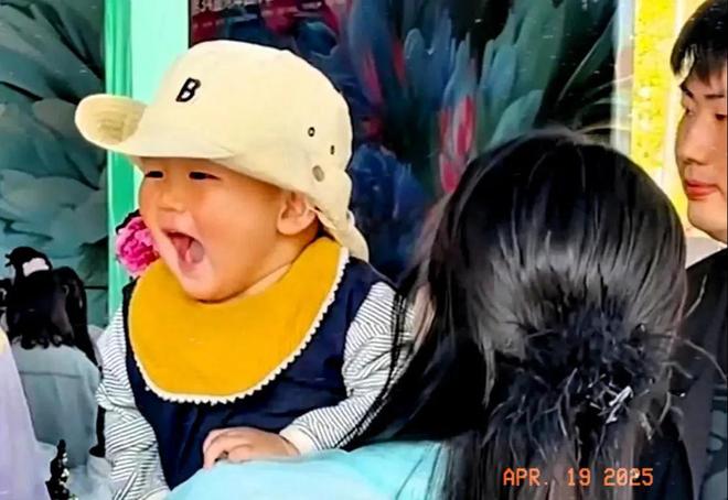 大衣哥和孙子菜园嬉戏假山荒草丛生院子里再不见往日热闹景象(图12)