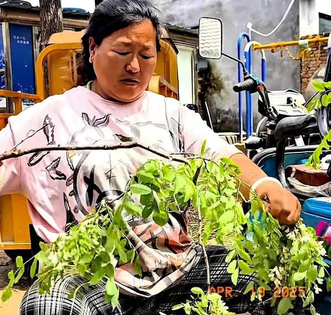 大衣哥和孙子菜园嬉戏假山荒草丛生院子里再不见往日热闹景象(图14)