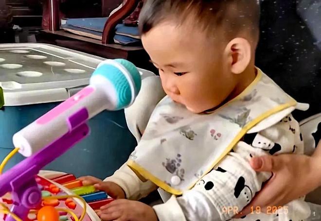 大衣哥和孙子菜园嬉戏假山荒草丛生院子里再不见往日热闹景象(图13)