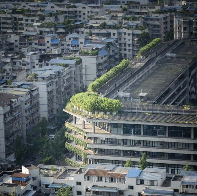 牛！成都建筑家刘家琨获2025普利兹克建筑奖(图13)