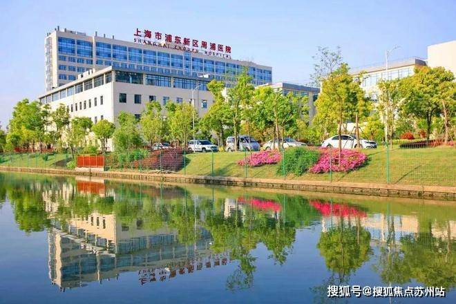 Kaiyun体育网站：金桥碧云澧悦(营销中心)首页网站-金桥碧云澧悦销售中心(售楼处)-楼盘欢迎您-地址-价格-户型-小区环境-楼盘详情-交房时间-周边配套-售楼处电话(图22)