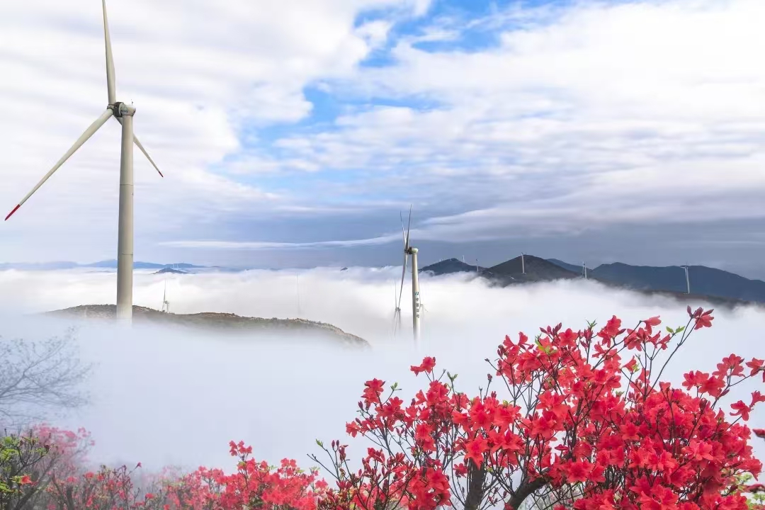 5·19中国旅游日云冰山景区免门票(图1)