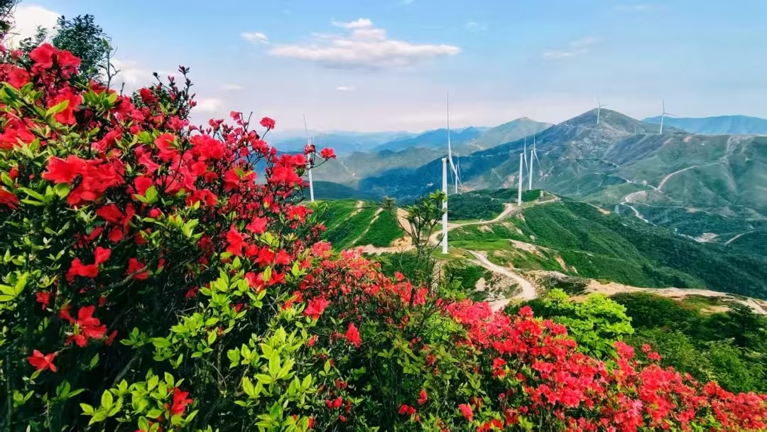 5·19中国旅游日云冰山景区免门票(图2)