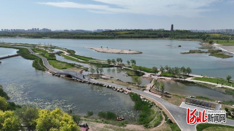 晓月湖湿地更漂亮了！石家庄重点打造滹沱河畔亲水亲绿景观带(图4)