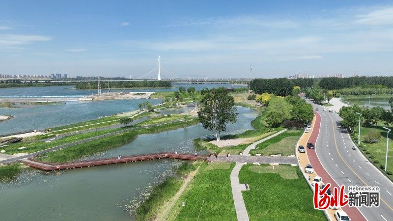 晓月湖湿地更漂亮了！石家庄重点打造滹沱河畔亲水亲绿景观带(图5)