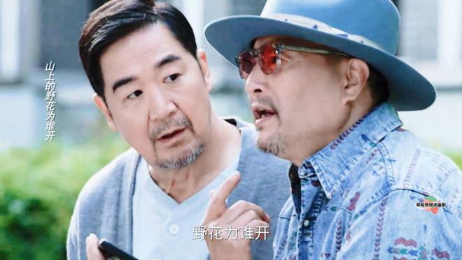 假山假景假脸央视《我的后半生》爆火打脸多少流水线都市剧(图3)
