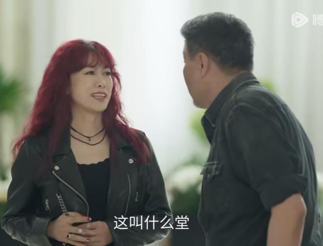 假山假景假脸央视《我的后半生》爆火打脸多少流水线都市剧(图7)