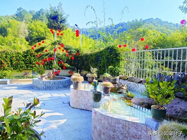 广宁县持续推进“美丽庭院”建设(图1)