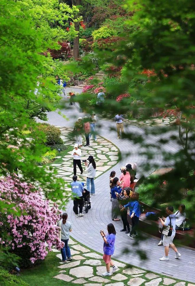 Kaiyun体育网站：没想到上海竟然有这么多“市内桃源”(图8)